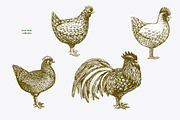 Farm Birds Vector collection, an Animal Illustration by Lubov Illustrations Shop (Thumbnail 2 of 6)