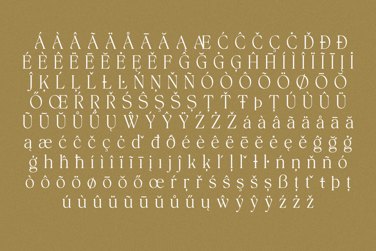 The Bilstein Editorial, a Serif Font by Pista Mova (Photo 18 of 20)