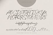 Chapter Fourteen Script Font, a Script Font by Creativeqube Design (Thumbnail 10 of 11)