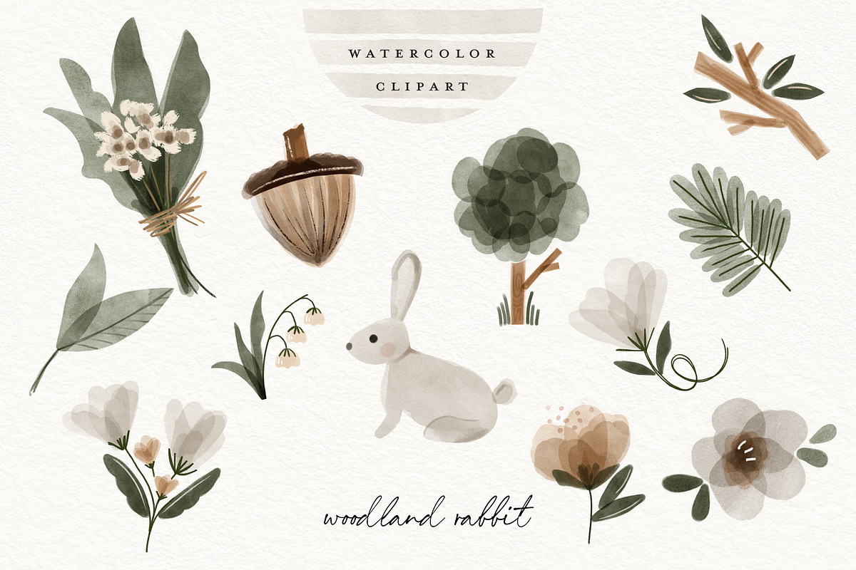 64 Boho Woodland Animal Clipart, an Animal Illustration by beatriceviyiwi (Photo 6 of 6)
