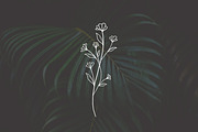 PNG + JPEG 6 Hand Drawn Wildflowers, an Illustration by Bilbie Artwork (Thumbnail 3 of 7)