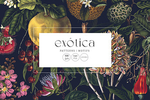 Extica, Luxury Pattern Design!