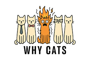 Why Cats Funny Cat PNG | Minimalist, a Graphic by Star Graphic Design