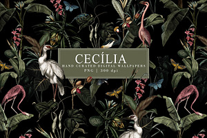 Ceclia Pattern Crimson Cherry