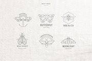 Bohemian Minimal Logos collection, a Branding & Logo Template by Marish (Thumbnail 8 of 13)