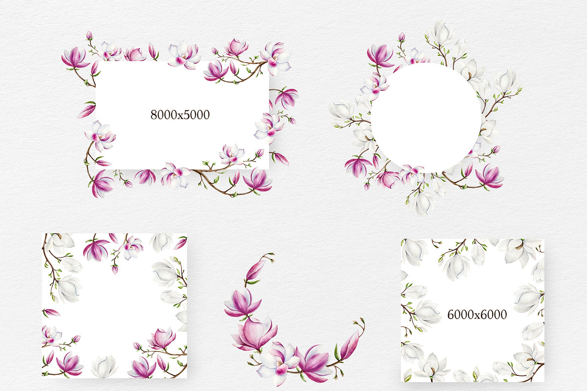 MAGNOLIA - Watercolor collection, a Decorative Illustration by Navenzeles (Photo 7 of 13)