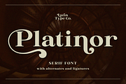Platinor, a Serif Font by Larin Type Co. (Thumbnail 1 of 13)
