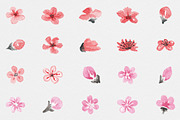 Sakura.  Japanese ink creator, an Illustration by GraphicHouse (Thumbnail 5 of 10)
