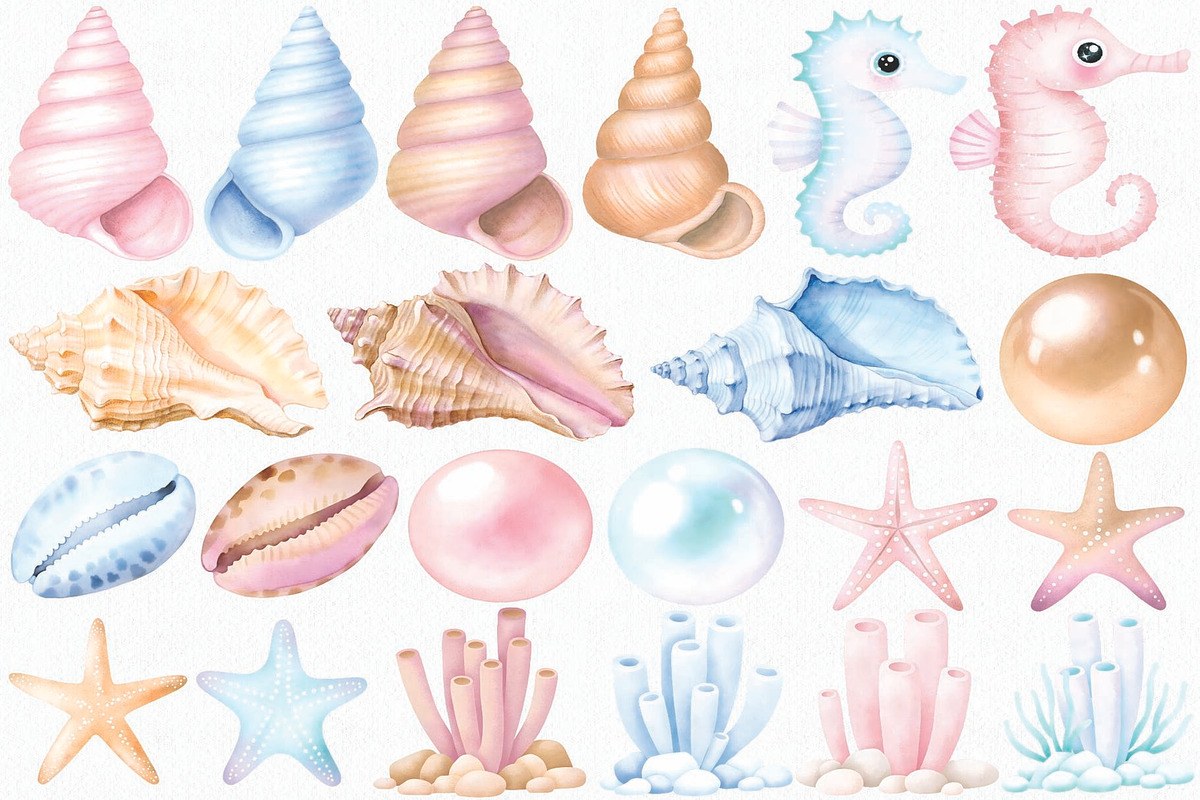 Watercolor Seashells Clipart Set, an Illustration by CropUp Creative (Photo 3 of 4)