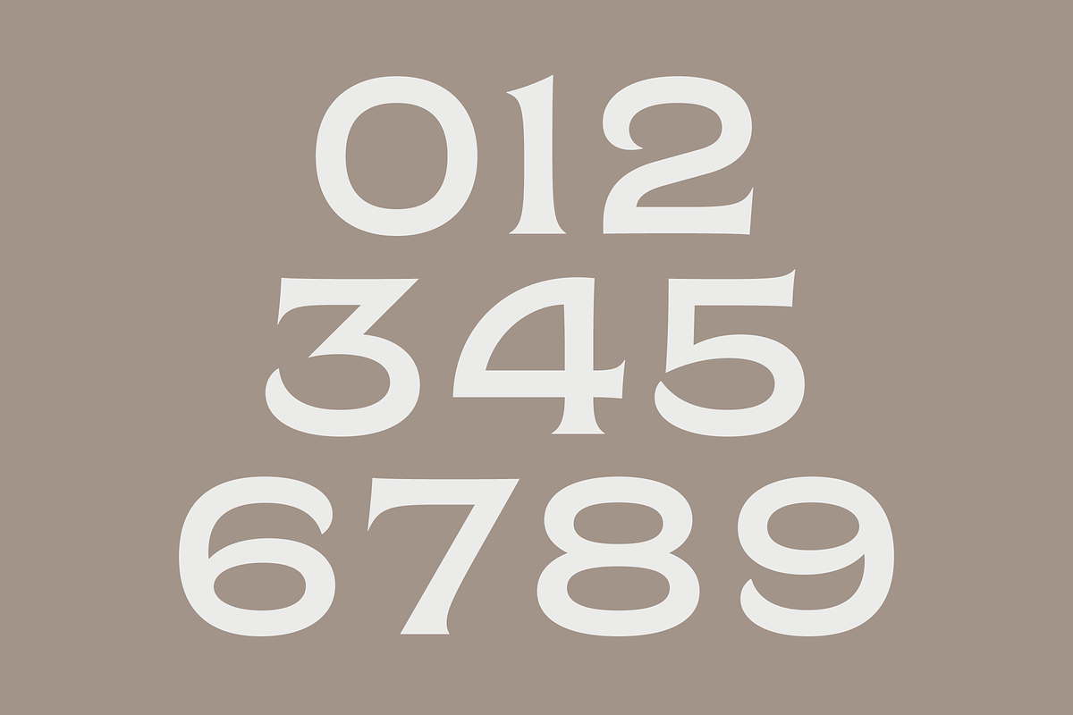 Chronique, a Serif Font by Haus Type (Photo 5 of 7)