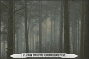 Authentic Cyanotype LUTs, a Plug-in Add-On by Raztrend (Thumbnail 27 of 32)