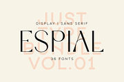 Just Type Bundle Vol.01 - 300 fonts, a Serif Font by VP Fonts (Thumbnail 16 of 19)