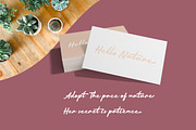 Mount Light - Script Font, a Script Font by FHFont (Thumbnail 5 of 9)