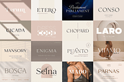 Exclusive Font Bundle, a Sans Serif Font by Larin Type Co. (Thumbnail 4 of 15)