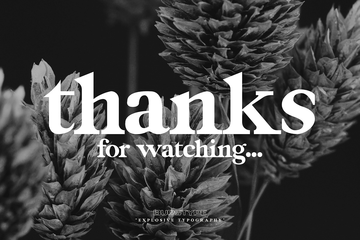 EDEN - MODERN DISPLAY SERIF FONT, a Serif Font by BURSTYPE (Photo 8 of 8)