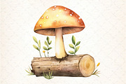Mushrooms Clipart Bundle, an Illustration by DreamCafeArt (Thumbnail 2 of 5)