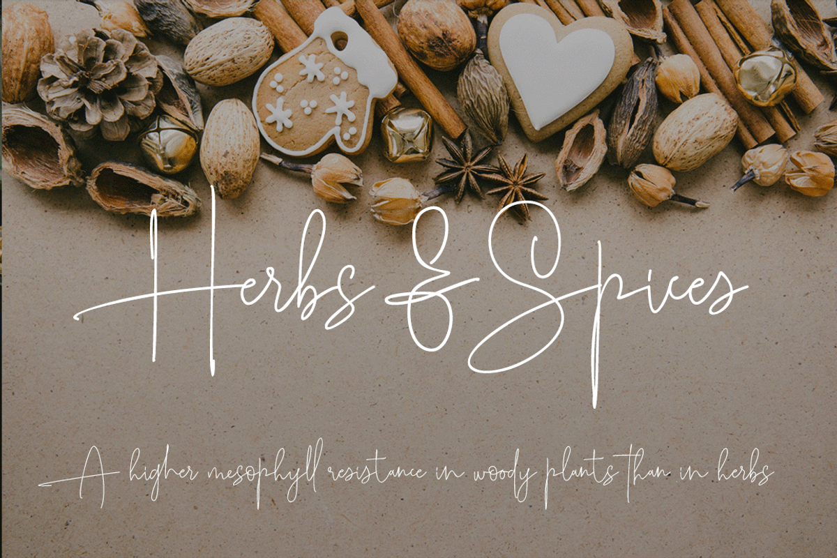 Roselle, a Script Font by GRAPHICPRESS (Photo 5 of 9)