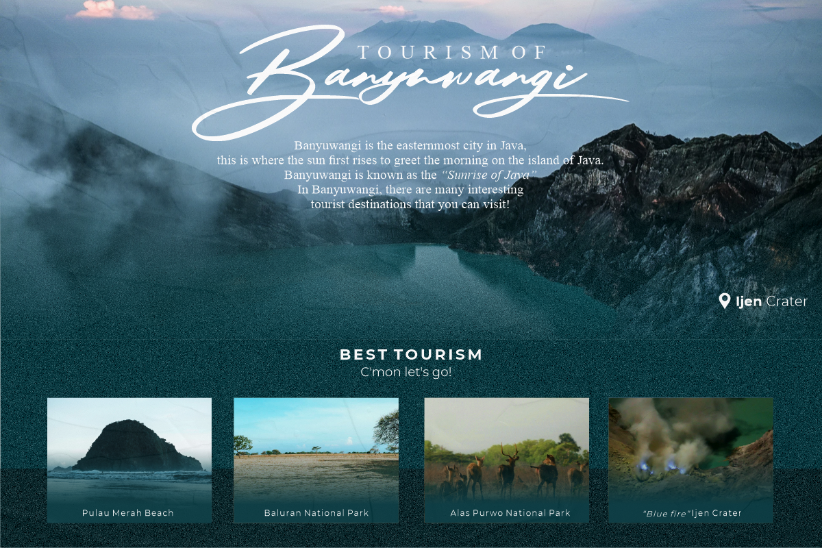 Solustion Bold Signature, a Script Font by Glyphstyle (Photo 4 of 11)