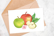 Vintage apples, hand drawn set, a Food Illustration by Good Studio (Thumbnail 5 of 5)