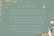 Fairytales Script Font, a Handwritten Font by Salt & Pepper Designs (Thumbnail 7 of 9)