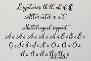 Mastyr, a Script Font by Digital Typeface Studio (Thumbnail 3 of 6)