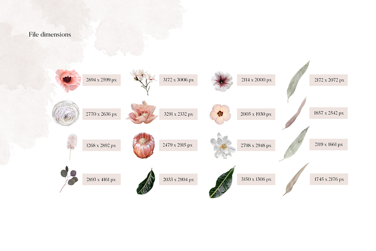 Isolated real flowers clipart set, an Object Graphic by The Graphic Parade (Photo 7 of 14)