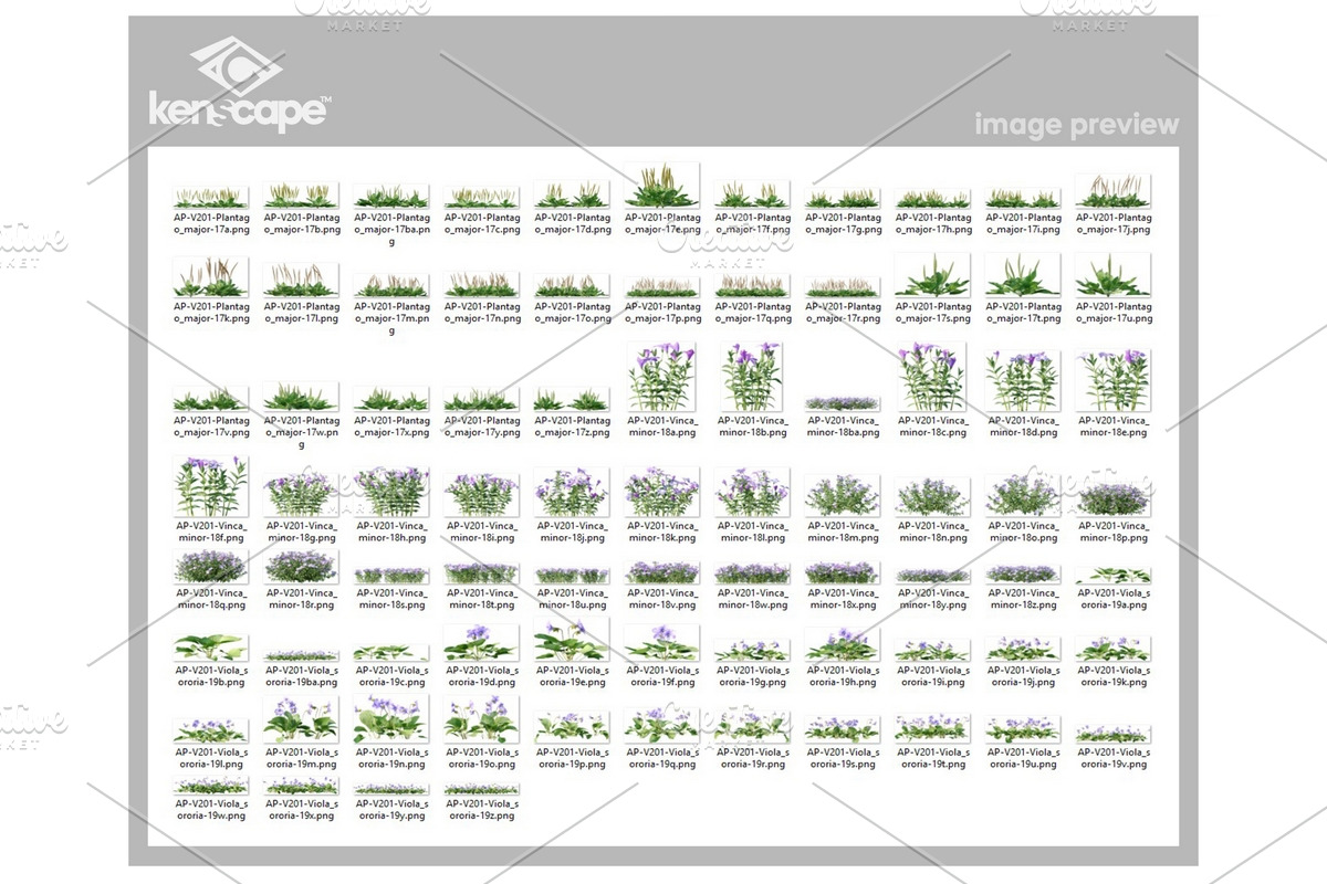 81 Assorted Plants Photo Overlays, a Nature Photo by KenScape (Photo 3 of 3)