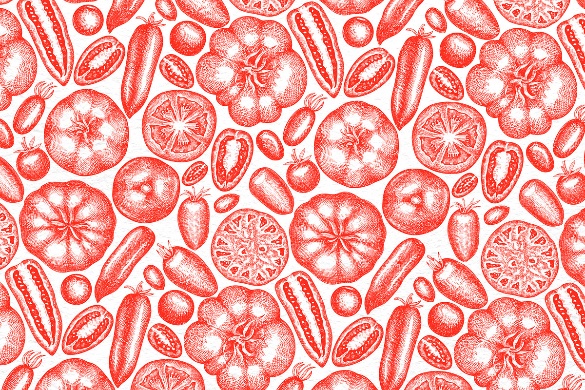 Tomato Farm Vector Collection, a Food Illustration by Lubov Illustrations Shop (Photo 13 of 13)