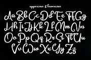 Festylia, a Script Font by Canden Meutuah (Thumbnail 4 of 6)