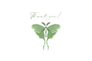 Luna moth clipart & pattern, an Animal Illustration by Yelloo Fish (Thumbnail 11 of 11)