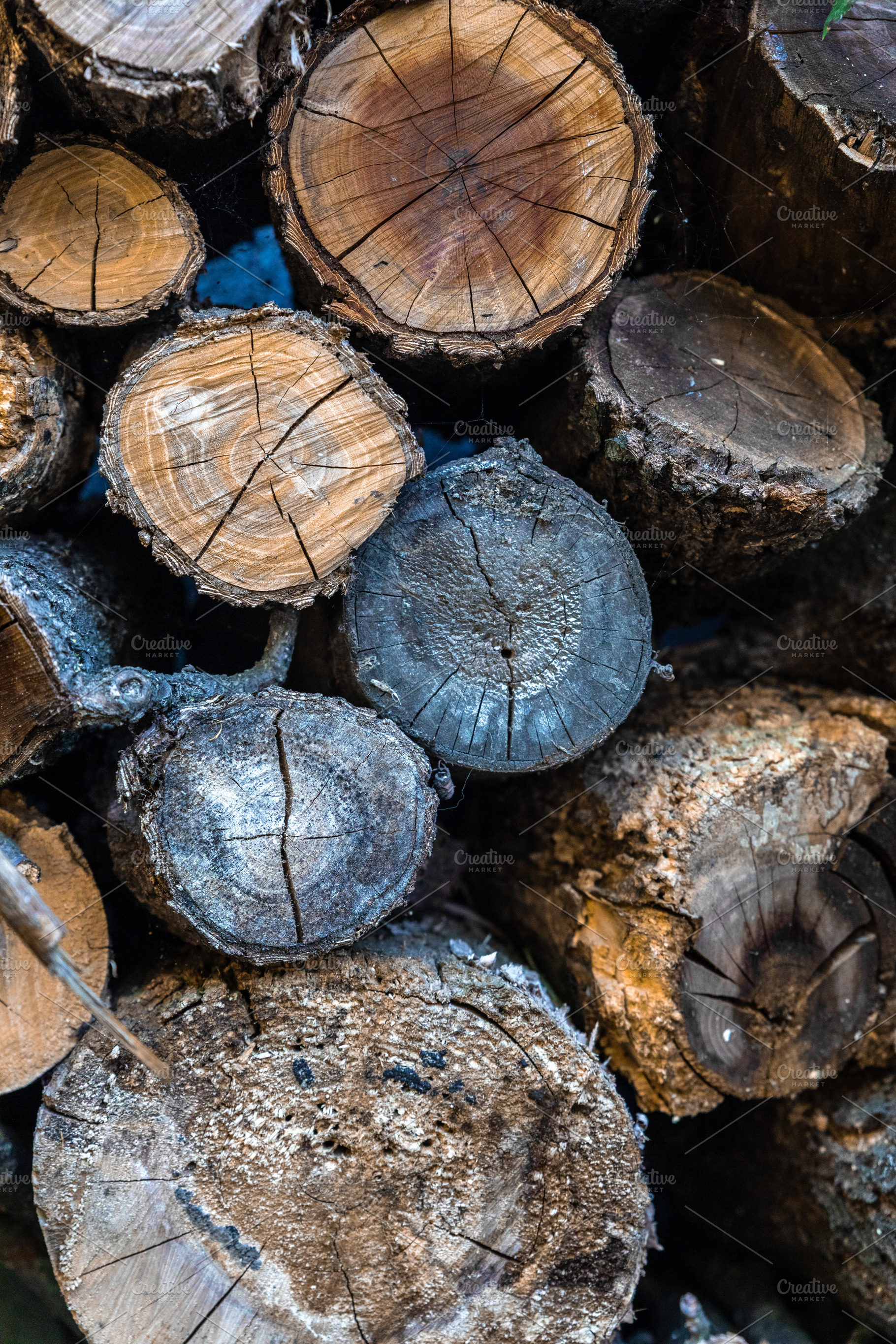 Stacked Firewood Logs, an Industrial Photo by Ales Munt