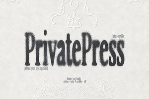 Private Press – Distressed Serif, a Slab Serif Font by nadispasibenko