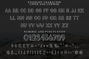 Pencil Thin, a Script Font by FreshTypeINK (Thumbnail 7 of 8)