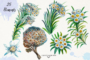 Watercolor Edelweiss, a Decorative Illustration by Graphobia (Thumbnail 2 of 8)