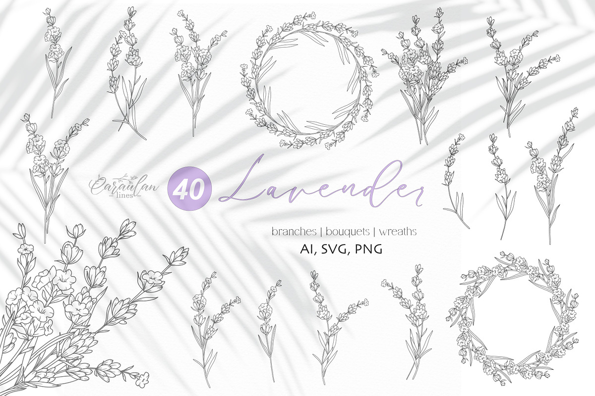 Lavender Line Art, a Decorative Illustration by CaraulanStore (Photo 1 of 8)