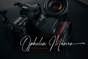 Gasthony - Signature Font, a Script Font by Sronstudio (Thumbnail 9 of 12)