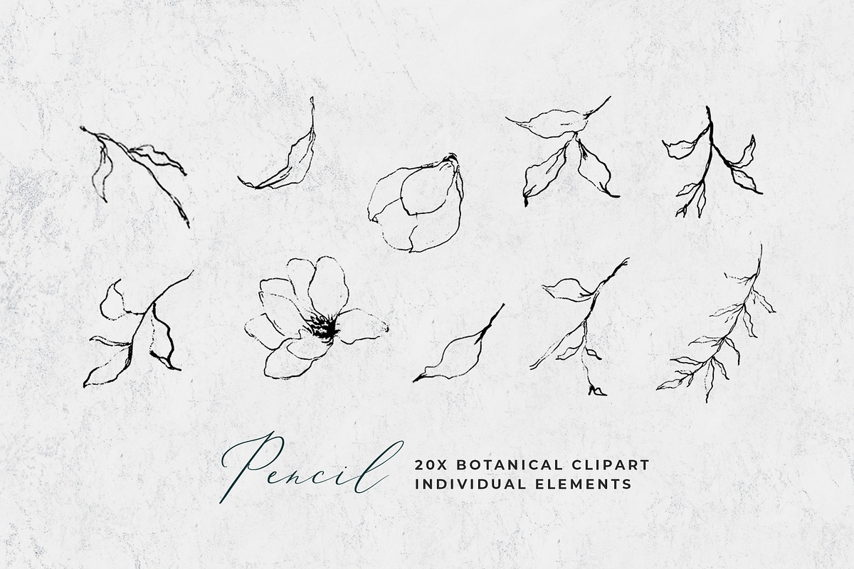 Fine Art Leaves Sketch& Illustration, a Decorative Illustration by WalaPalette (Photo 2 of 5)