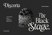 Bethany Elingston, a Serif Font by Attract Studio (Thumbnail 5 of 17)