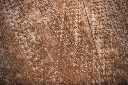 Tire Tracks Texture 1 (Photo)