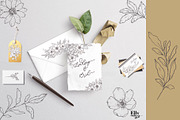 Modern Floral Graphic Collection, a Decorative Illustration by Elly Studio (Thumbnail 8 of 12)