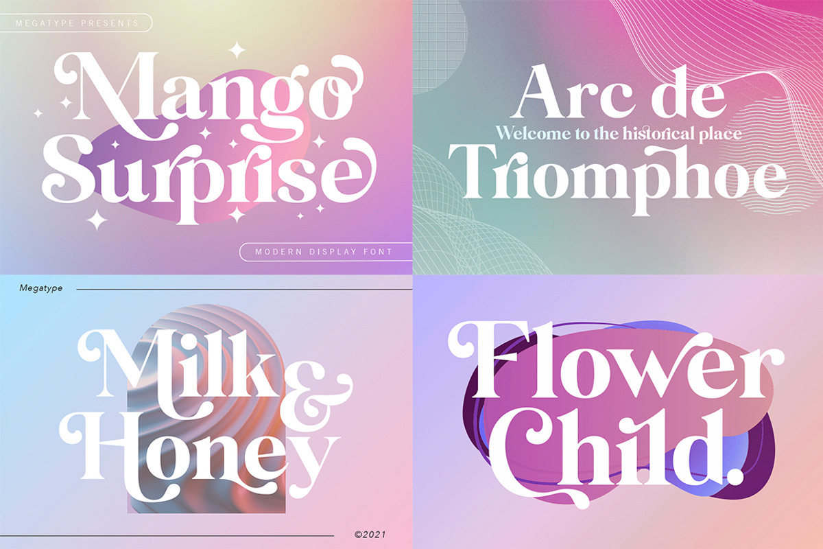The Premium Creation Font Bundle, a Serif Font by Megatype (Photo 2 of 56)