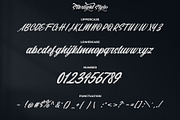 Starlight || Modern Script, a Script Font by Analogous (Thumbnail 13 of 16)