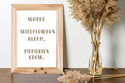 Willow Press - Vintage Serif Font, a Serif Font by V Design Creator (Thumbnail 7 of 9)