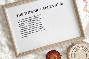 Botanicus A Display Font