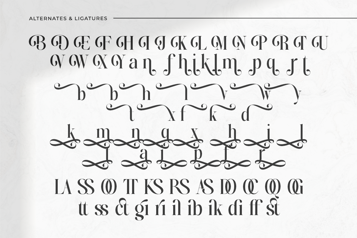 Bridens - Modern Serif Display, a Serif Font by Qweera Studio (Photo 9 of 10)