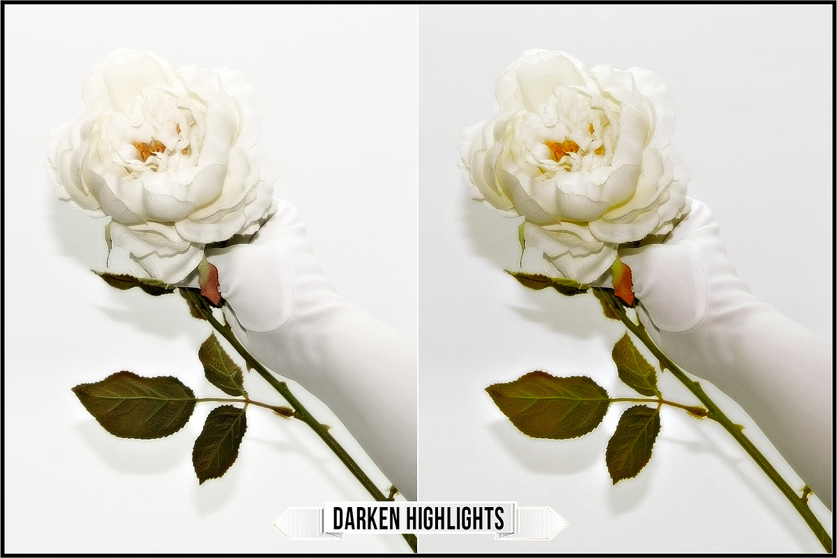Incredible Flowers Profiles preview 8