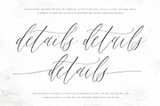 Aristea | Modern Calligraphy Script, a Script Font by Pink Coffie (Thumbnail 3 of 9)