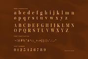 Geliga Elegant Serif Font, a Serif Font by Perfectype (Thumbnail 7 of 8)