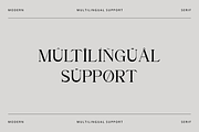 Tarahon - Business Font, a Serif Font by RockboyStd (Thumbnail 10 of 12)