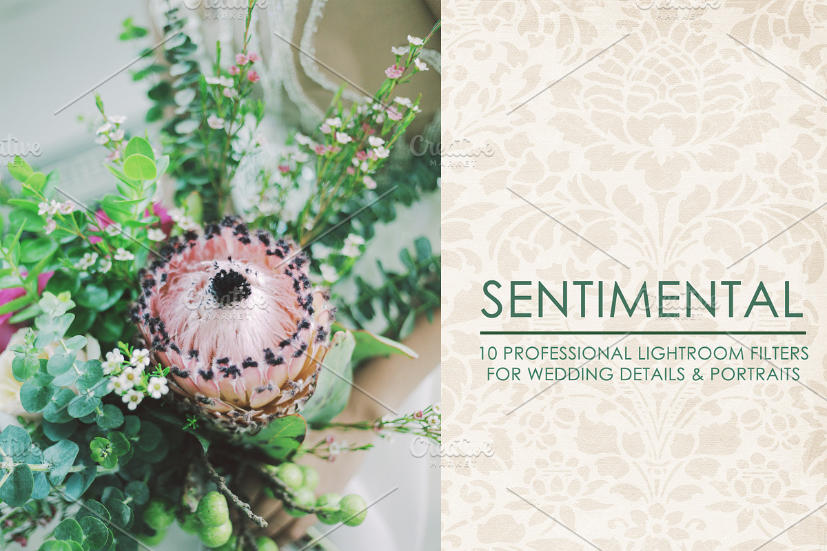Sentimental - Lightroom Presets, an Action Add-On by Cynosure Filters (Photo 1 of 7)
